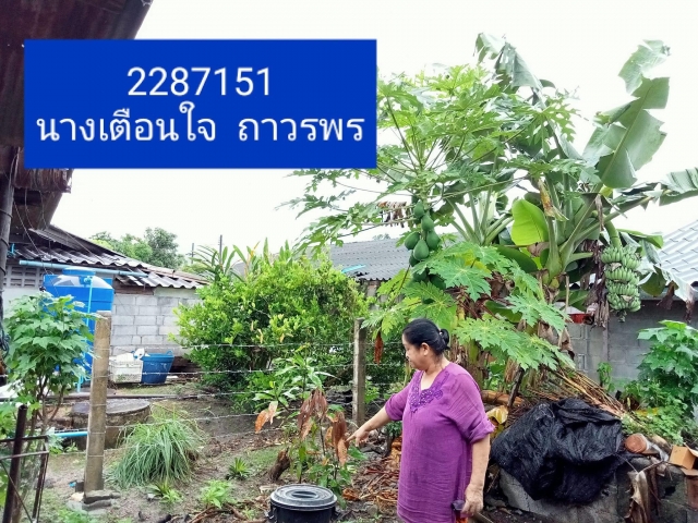 การขับเคลื่อนแผนปฏิบัติการเชิงกลยุทธ์แนวใหม่ RE-X-RAY โครงการถังขยะเปียก ลดโลกร้อน
